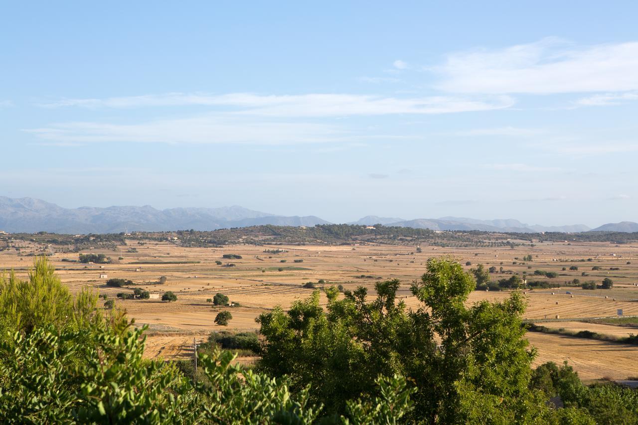 Casa Font I Roig Otel María de la Salud Dış mekan fotoğraf